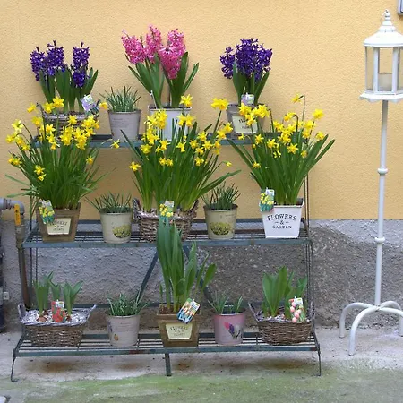 La Corte Di Aparthotel 3*