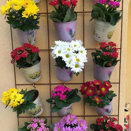 La Corte Di 3* Cernobbio