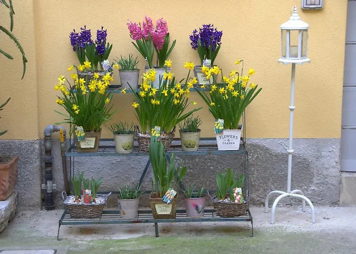 La Corte Di Aparthotel 3*